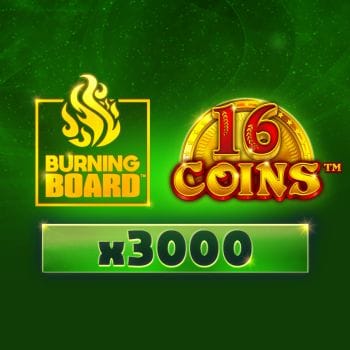 16 Coins™ Burning Board™ game cover